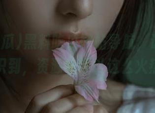 黑料吃瓜网站导航，让我突然意识到，资源也可以这么火热。