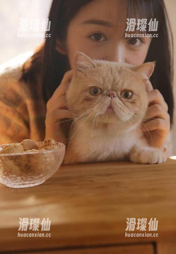抓紧你的正能量资源，黑料吃瓜网站今天又出奇招了！-滑璨仙
