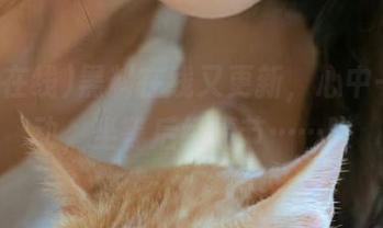 黑料在线又更新，心中一阵骚动，坐等后续情节……哎