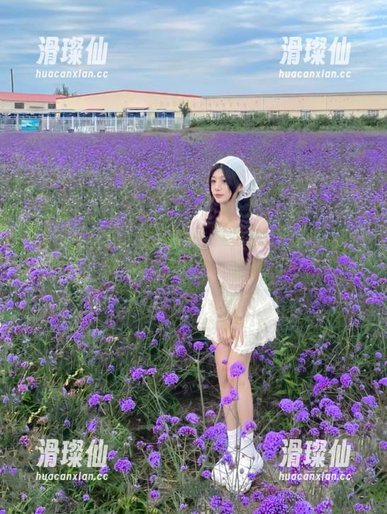 继续关注169.sk黑料正能量官网，放下你的小手，似乎更过瘾！-滑璨仙