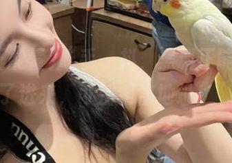“手一抖，黑料正能量视频点了进来，可别相信地址！”。