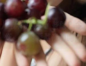 黑料网发布了些啥？今夜也不打烊，那是要熬夜的吗？