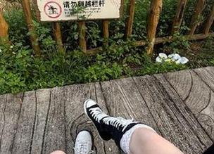 黑料网首页：免费的八卦订阅！不看亏大了！